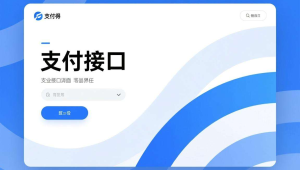 码支付接口